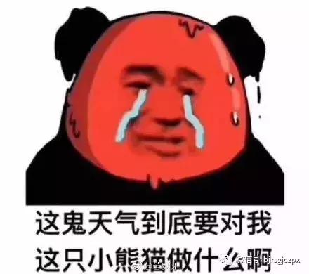「月考預(yù)告」所謂捷徑，不過(guò)是踏實(shí)走好每一步！