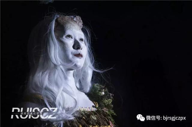 有顏有料有技術，秀場點亮新銳美妝造型！